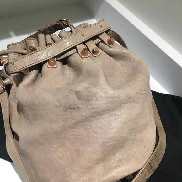 Alexander Wang Diego bag in beige and rosegold hardware - Picture 4 of 6